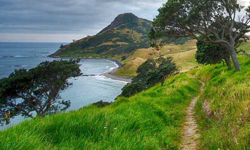 walking path next to seaside