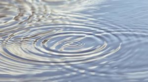 A close-up image of circular water ripples on calm waters