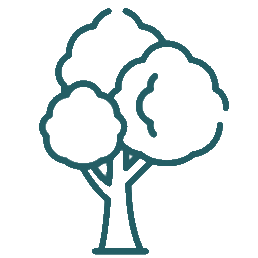 tree icon